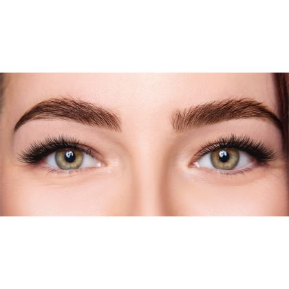 Eyebrow Transplantation Before & After Patient #206